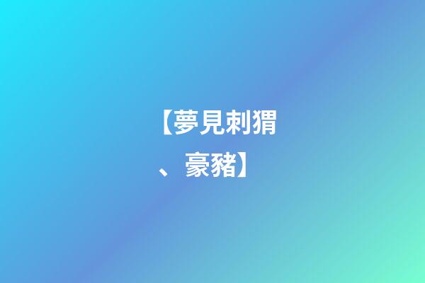 【夢見刺猬、豪豬】